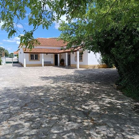 Vila Casa Da Nogueira Tomar Exteriér fotografie