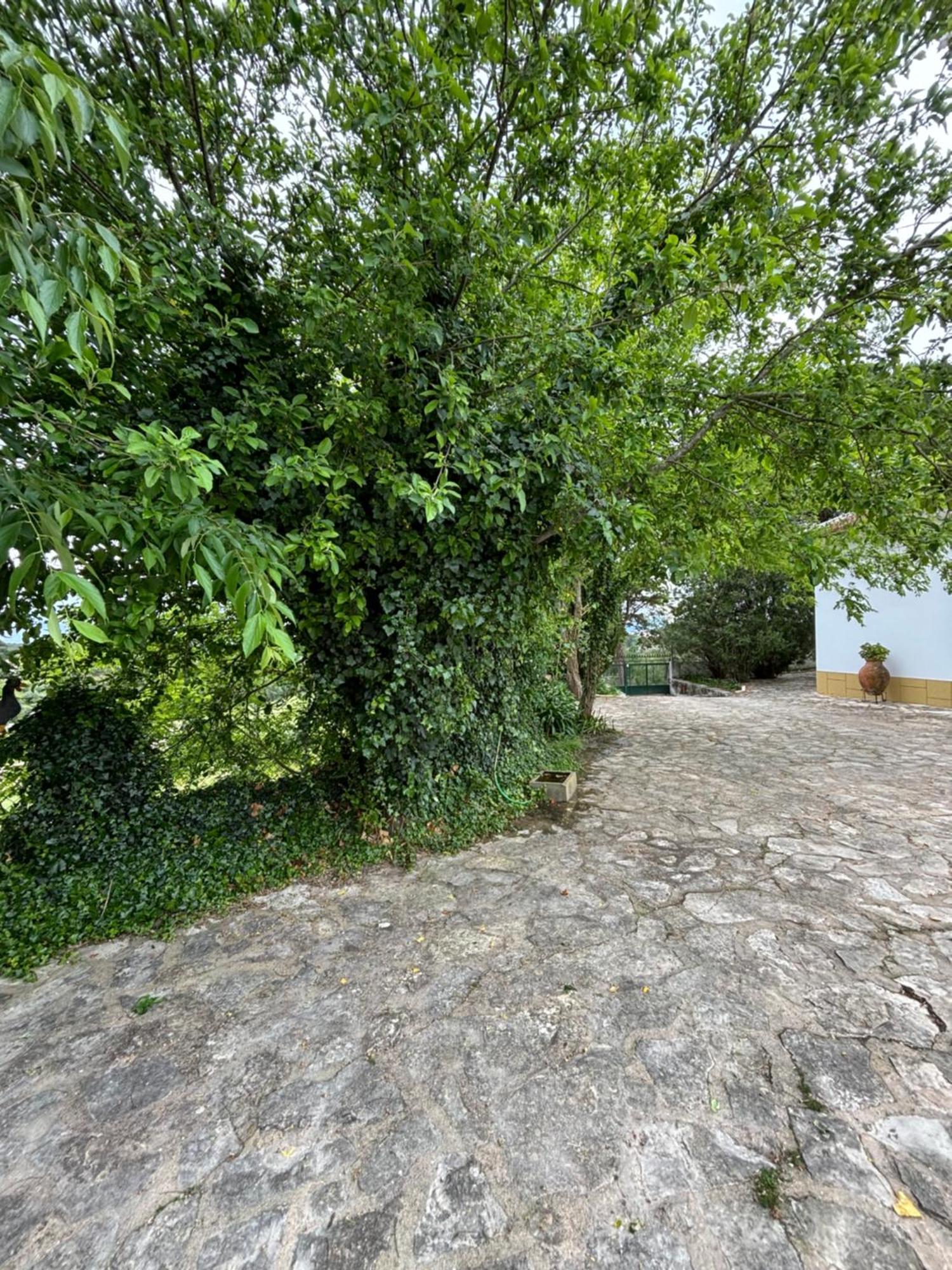 Vila Casa Da Nogueira Tomar Exteriér fotografie