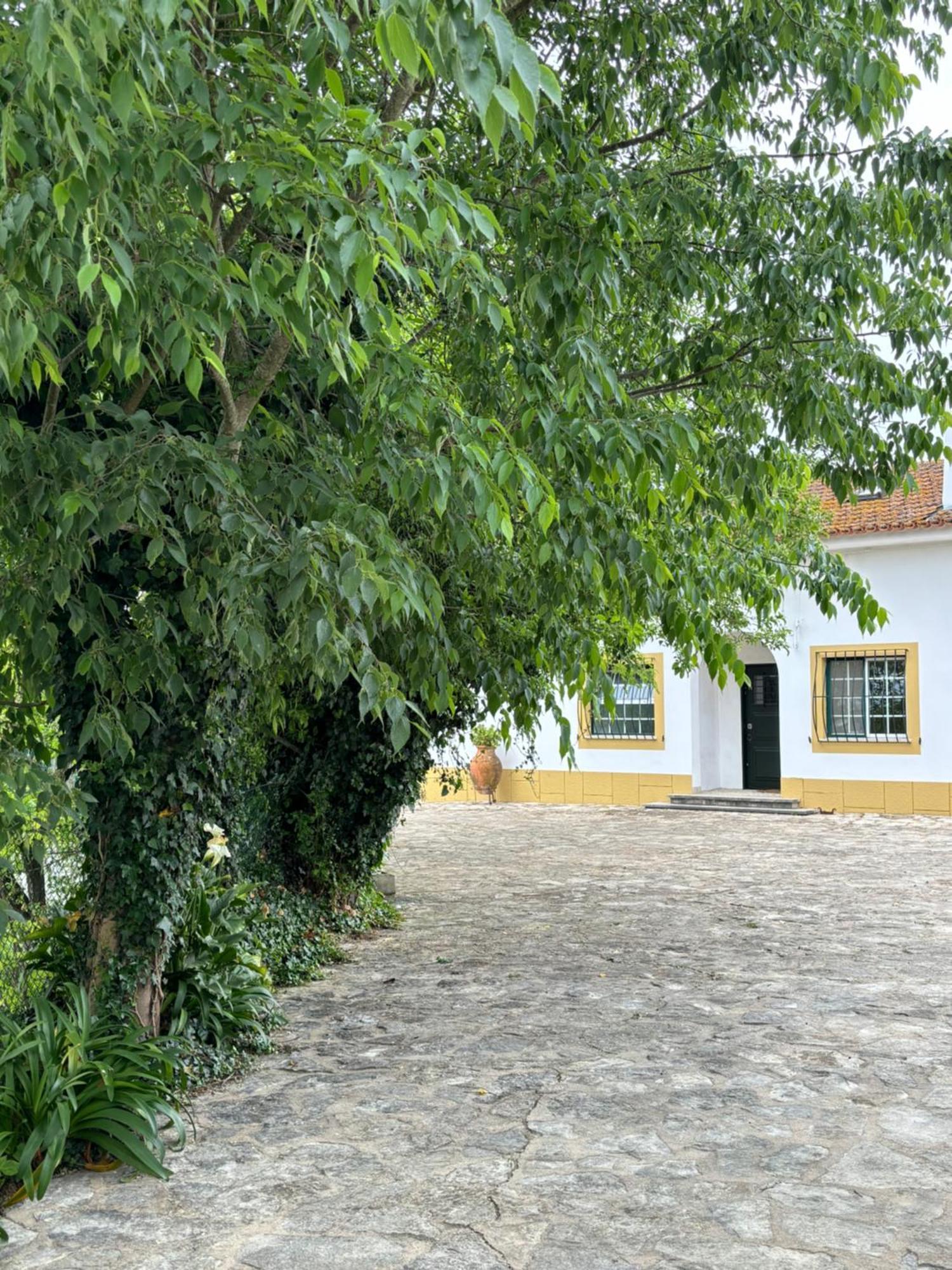 Vila Casa Da Nogueira Tomar Exteriér fotografie