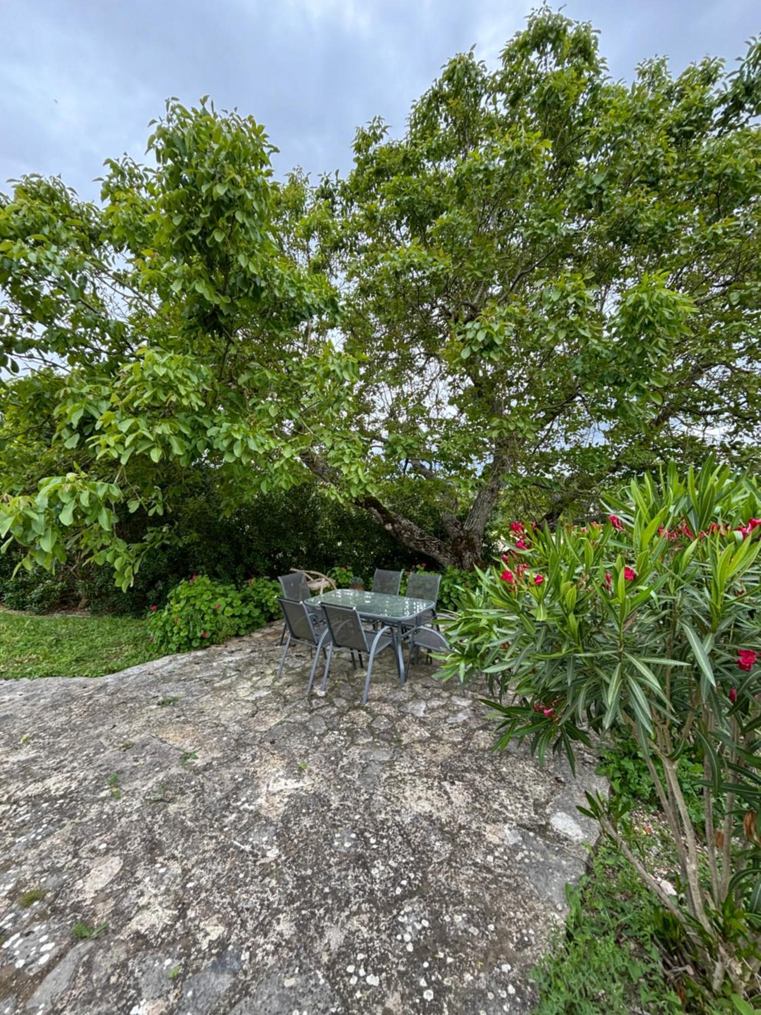 Vila Casa Da Nogueira Tomar Exteriér fotografie